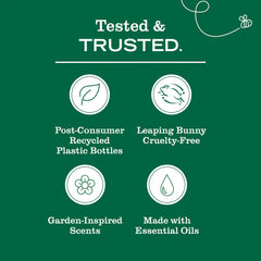 Spring Features Collection