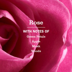 Spring Features Collection